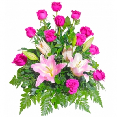 ROSAS FUCSIAS