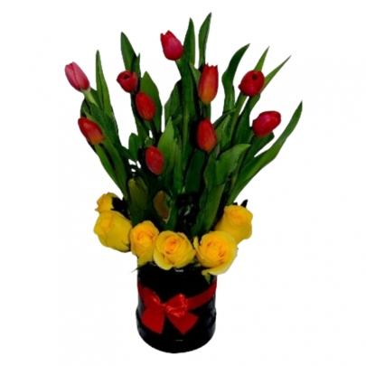 TULIPANES DE AMOR