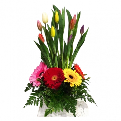 10 TULIPANES EN GERBERAS