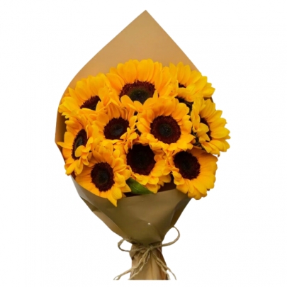 GIRASOL PARA ELLA