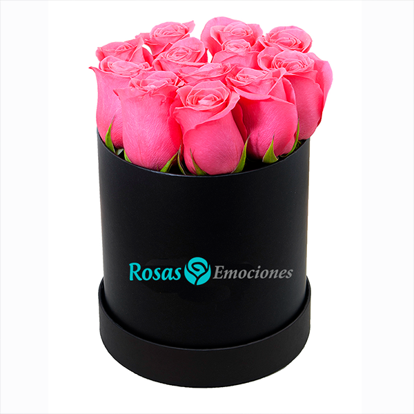 BOX ROSA