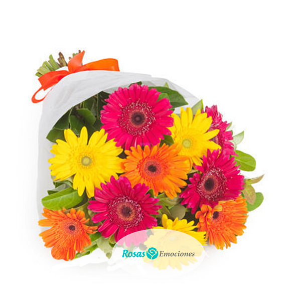 RAMO GERBERAS