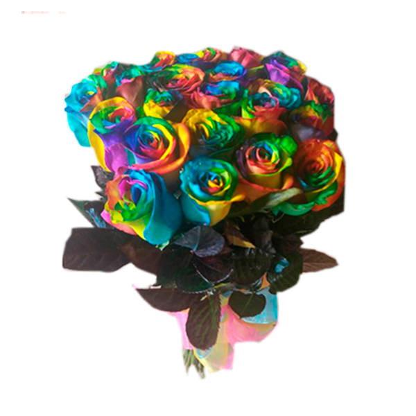 24 ROSAS ARCOIRIS