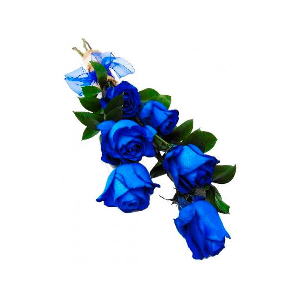 5 ROSAS AZULES